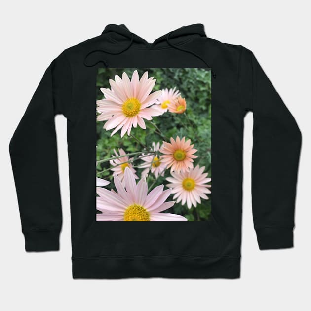 Daisies Hoodie by Amanda1775